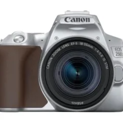 Discount Canon EOS 250D + EF-S 18-55mm f/4-5.6 IS STM Lens (Silver)