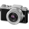 Fashion Panasonic LUMIX DMC-GF7 Digital Camera with 12-32mm Lens - Brown