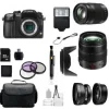 Outlet Panasonic Lumix DMC-GH3 Mirrorless Micro Four Thirds Digital Camera Platinum Bundle with: 12-35mm f/2.8 Asph. Lens & 35-100mm f/2.8 Lumix G Vario Zoom Lens