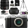 Clearance Panasonic Lumix DMC-GX8 Mirrorless Micro Four Thirds Digital Camera (Silver) + Lumix G X Vario 12-35mm + 64GB Memory Card Accessory Bundle