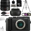 Online Panasonic Lumix DMC-GX8 Mirrorless Micro Four Thirds Digital Camera (Black) + Lumix G X Vario 12-35mm + 64GB Memory Card Accessory Bundle