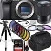 Online Sony Alpha a6400 Mirrorless Digital Camera with Sigma 16mm Lens & Essential Accessory Bundle