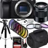 Sale Sony Alpha a6400 Mirrorless Digital Camera with 50mm Lens & Essential Accessory Bundle