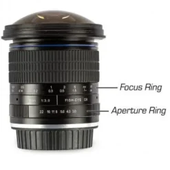 Best Ultimaxx 7mm f/3 HD Aspherical Fisheye Lens & Removable Hood Kit for Canon EOS 90D,80D, 77D, 70D, 60D, 60Da, 50D, 7D, T7i, T7s, T7, T6s, T6i, T6, T5i, T5, SL1, SL2 and SL3 Digital SLR Cameras